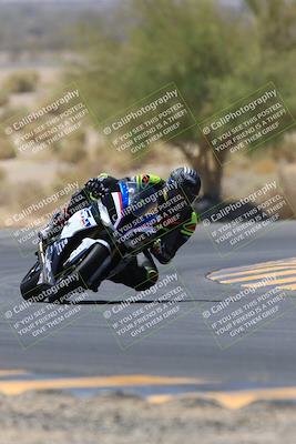 media/May-14-2023-SoCal Trackdays (Sun) [[024eb53b40]]/Turn 5 Tree of Life (1125am)/